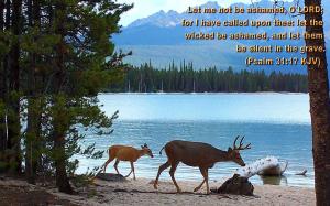 Let me not be ashamed, O LORD; for I have called upon you: let the wicked be ashamed, and let them be silent in the grave.